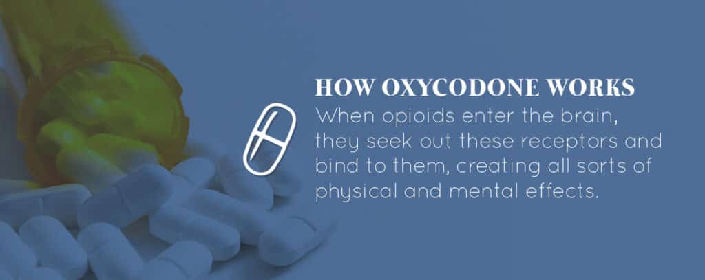 how oxycodone works
